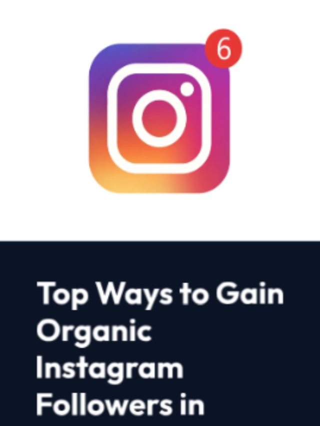 Top Ways to Gain Organic Instagram Followers in 2024!